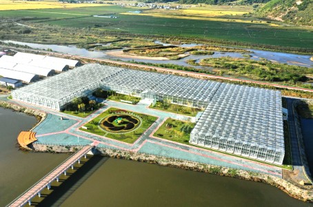 龍井綠品源入庫吉林省科技型中小企業名單